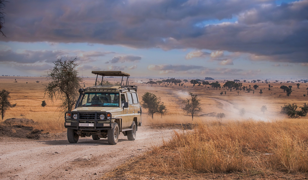 jeeb-safari jeeb-safari